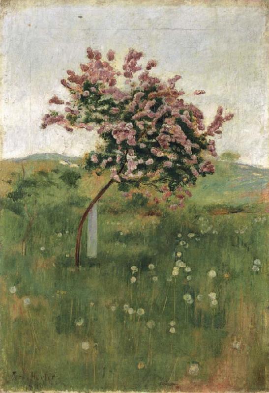 Ferdinand Hodler THe Lilac oil painting image